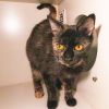 Foster Lilly photo 4