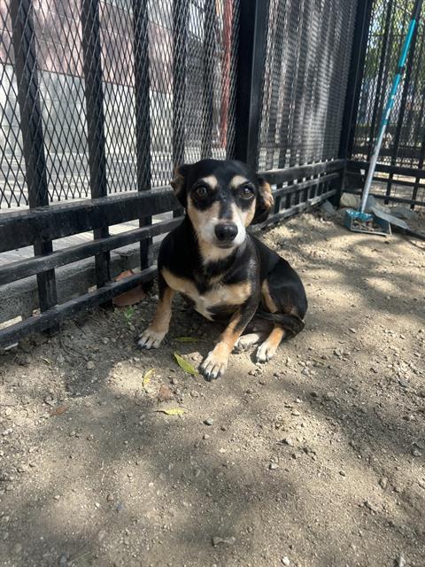 FRIDA- IN FOSTER 1