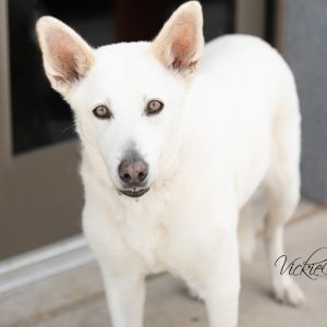 Yuki