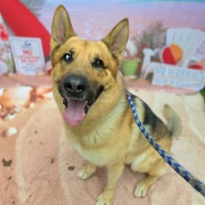 I WAS FOUND AT 605 FWY AND KATELLA LOS ALAMITOS CA 90720 IN LOS ALAMITOSMy ad