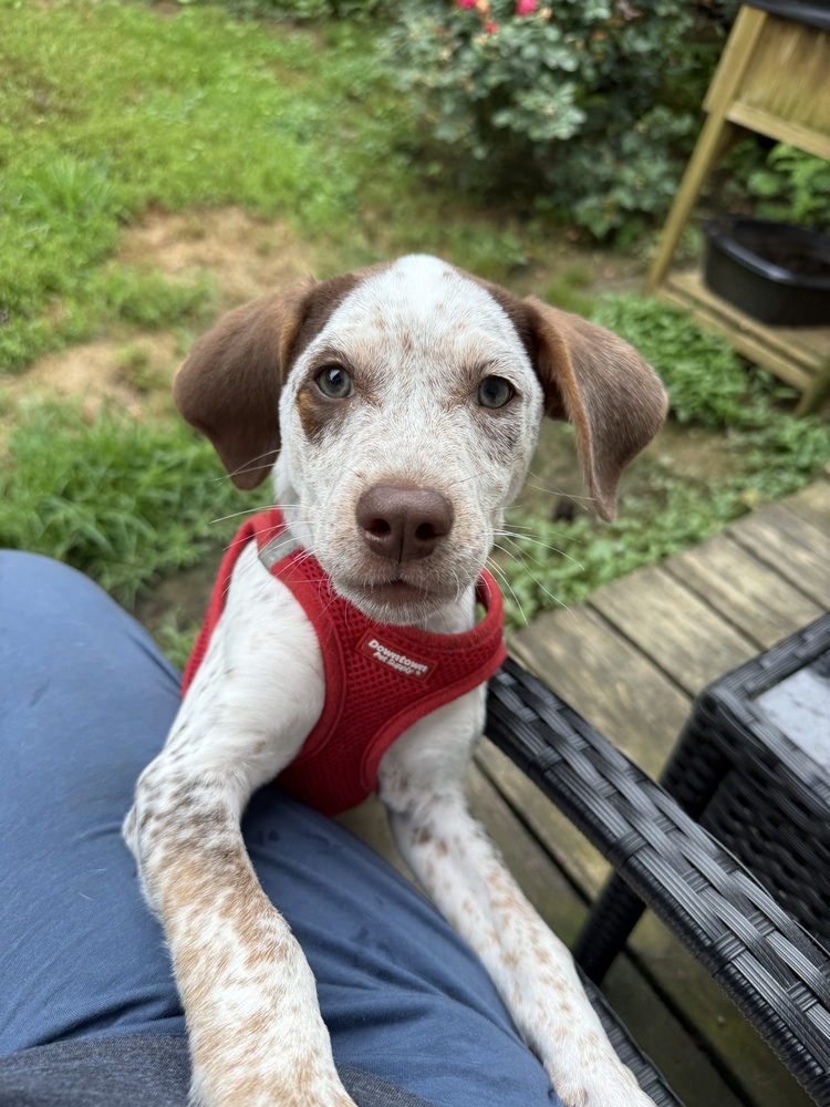 Baby Petey