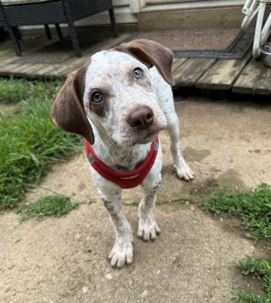 Baby Petey