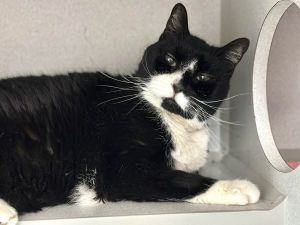 What my friends at ACC say about me I can go home today I have medical needs that staff will