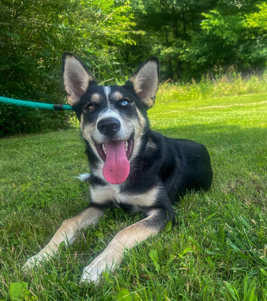 Charlie