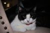 Phyllis photo 1