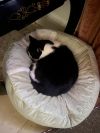 Phyllis photo 2