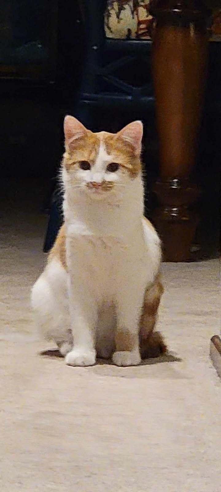 Debbie