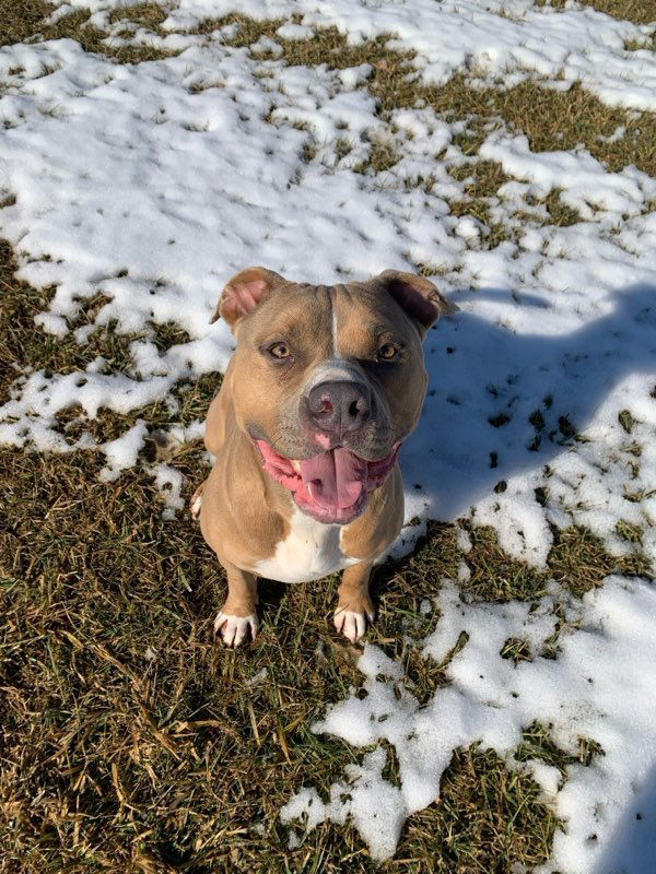 Tino