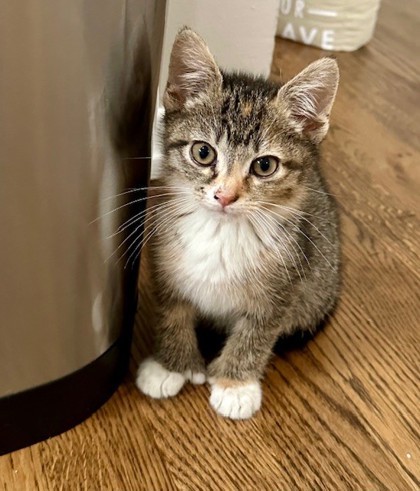 Lucy
