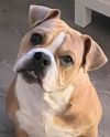 Milo photo 2