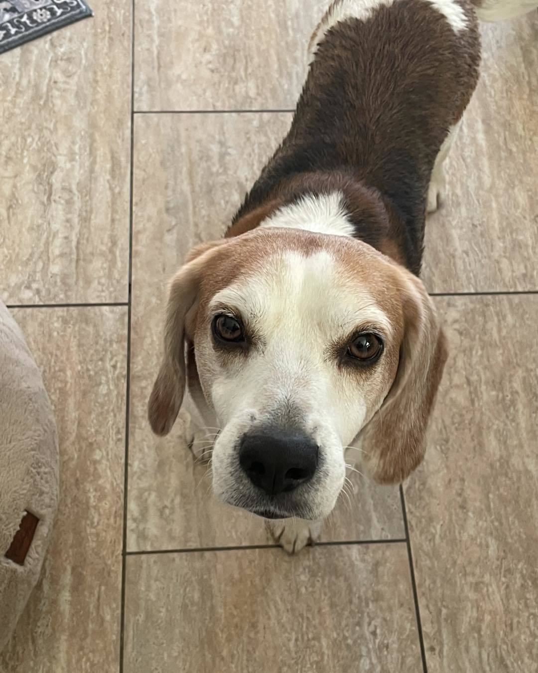 Walter