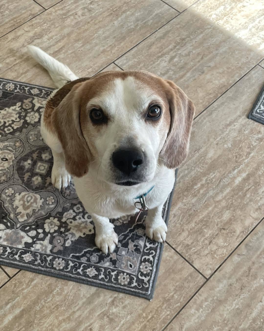 Walter
