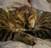 Toby photo 3