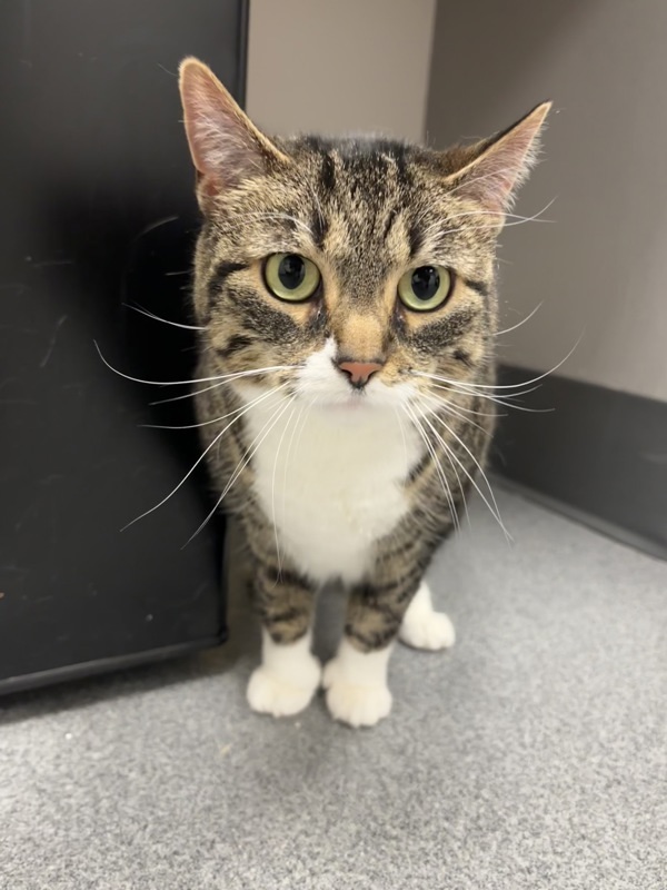 Lily * Bonded With Oliver *