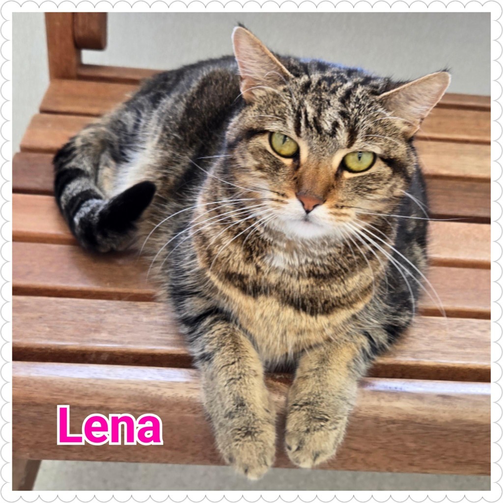 Lena