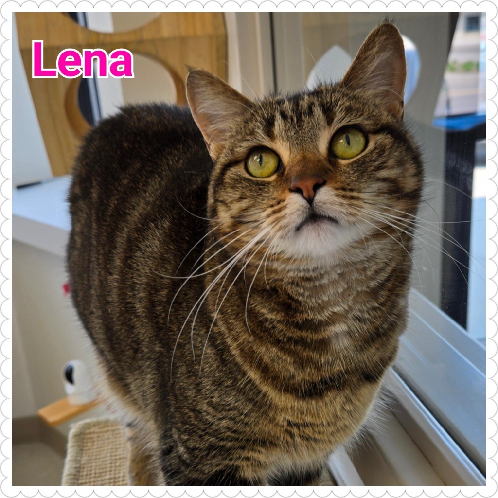Lena