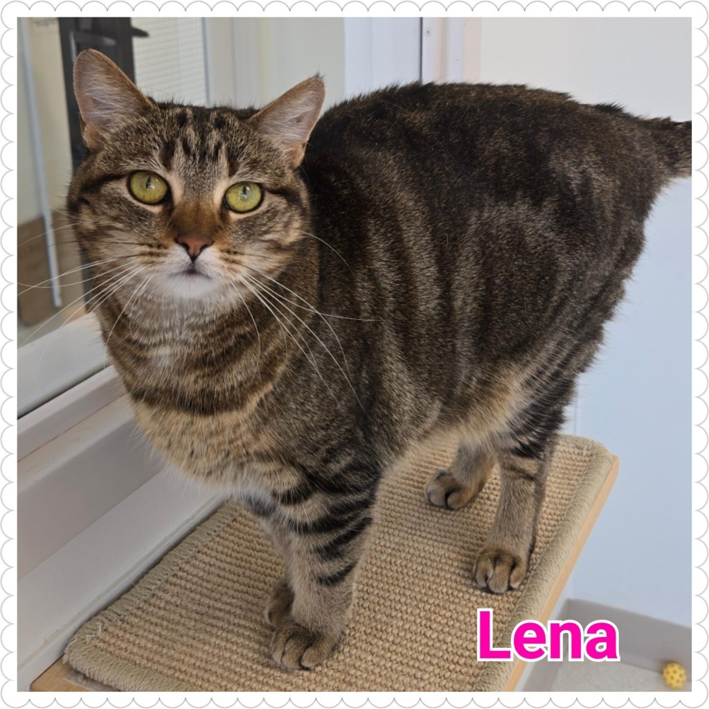Lena