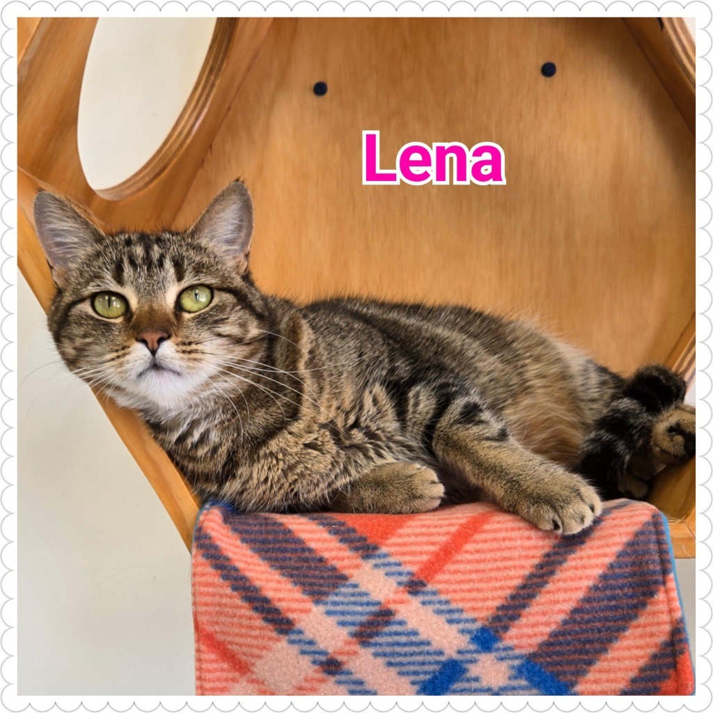 Lena