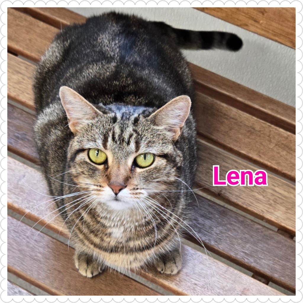 Lena
