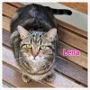 Lena photo 6