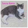 Sassy Pants photo 5
