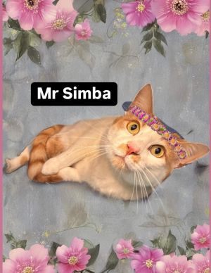 Mr Simba at Martinez Pet Food Express July 5th