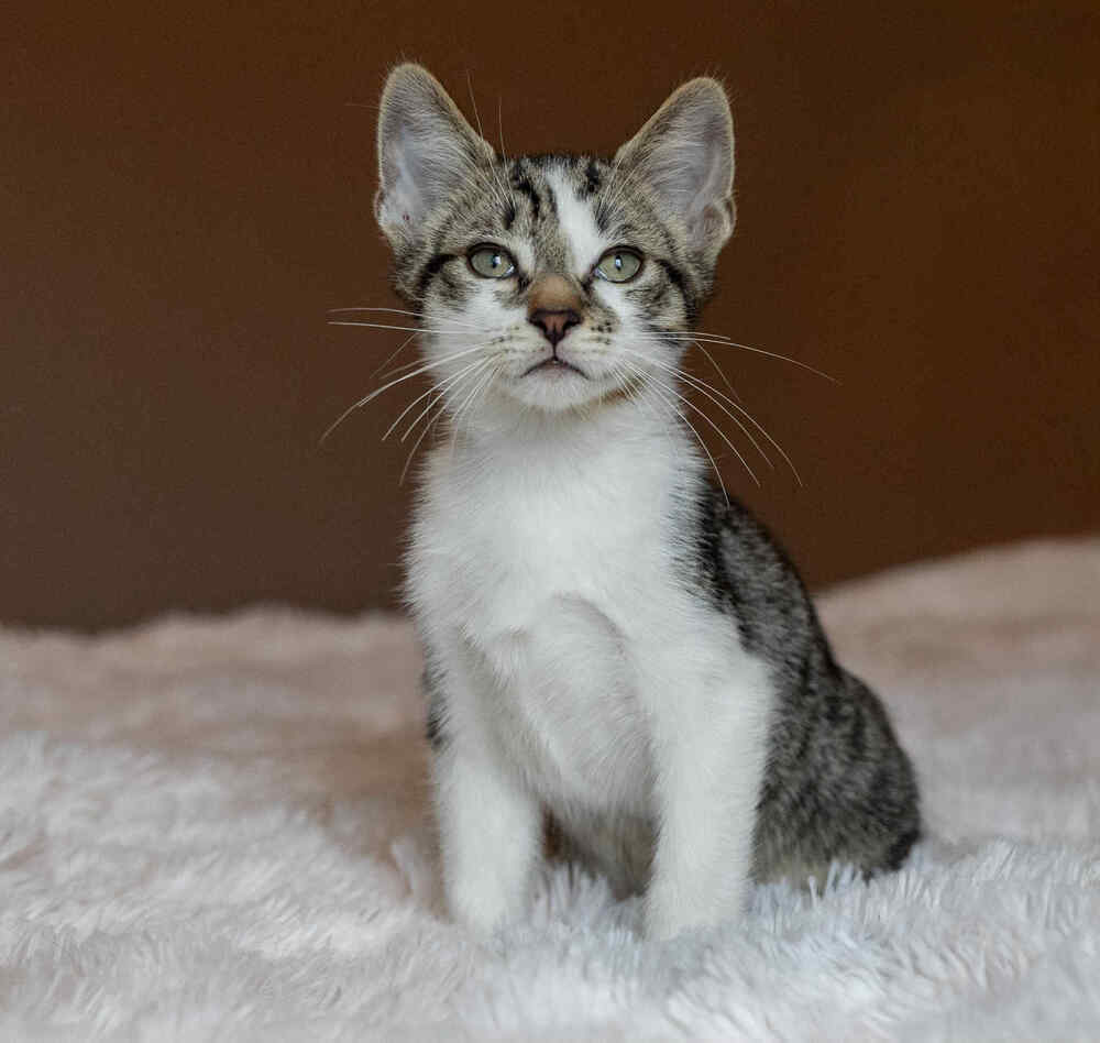 Wilbur: bonded w/Sid