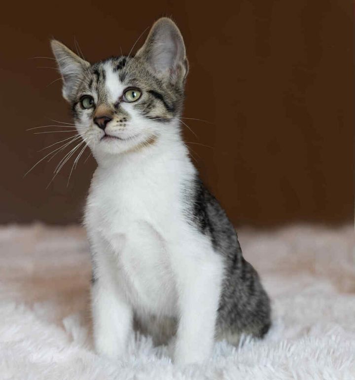 Wilbur: bonded w/Sid 1