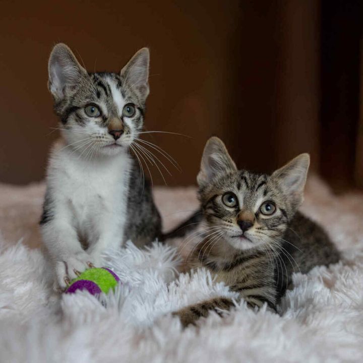 Sid-Bonded w/Wilbur 4