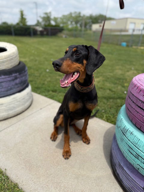 Xena