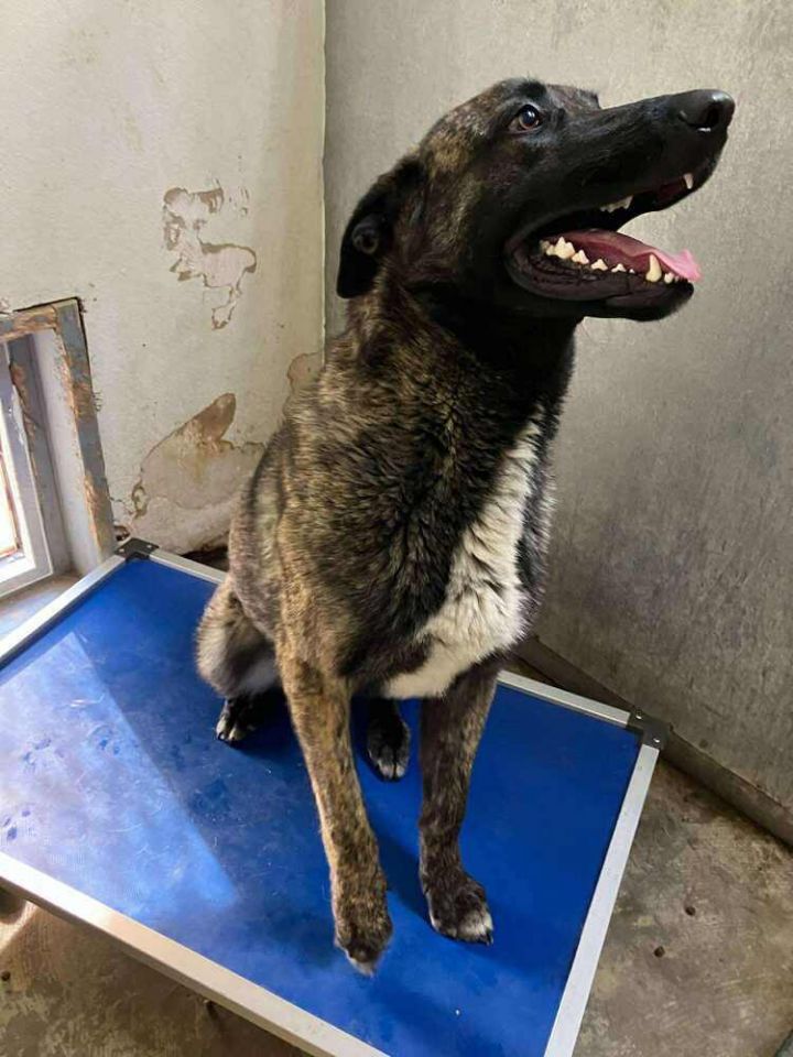 knox located in New Mexico 3