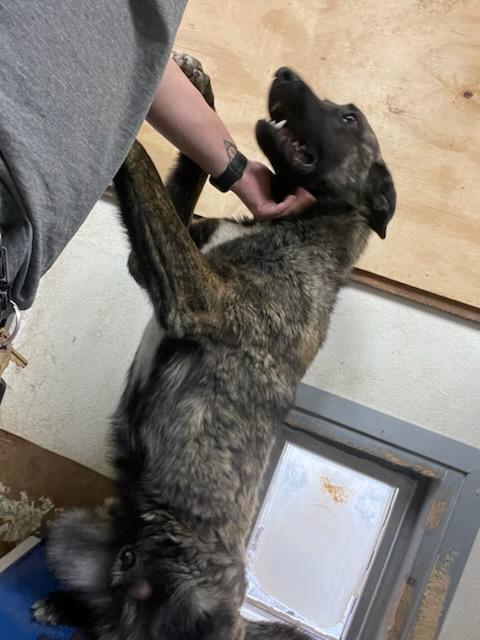 knox located in New Mexico 4