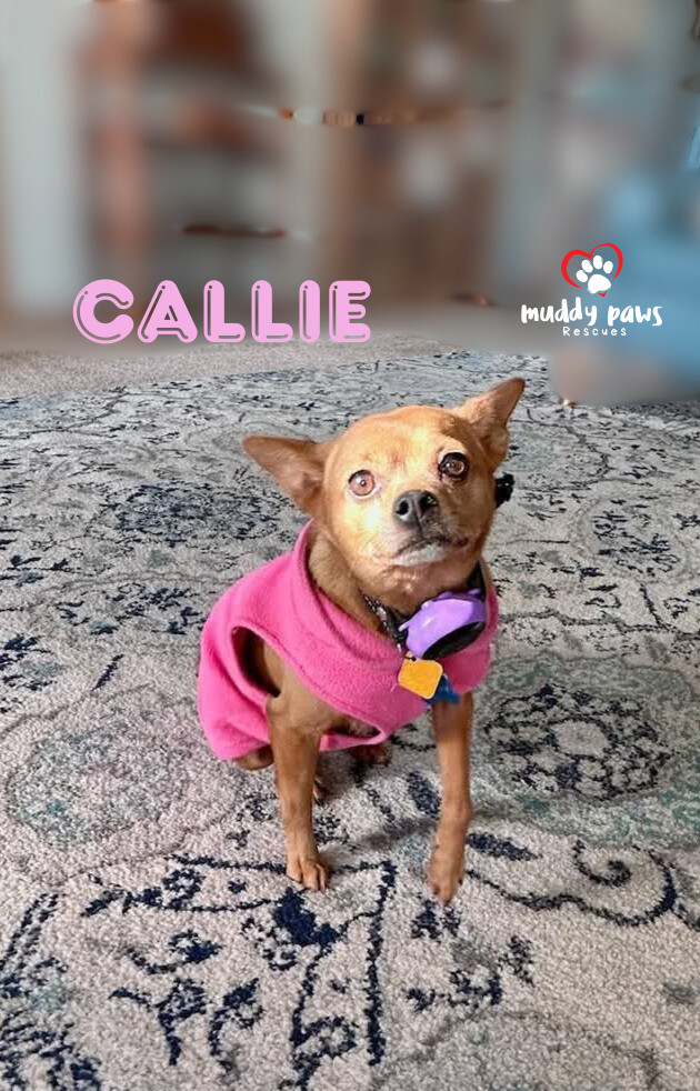 Callie