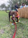 Buckee photo 5