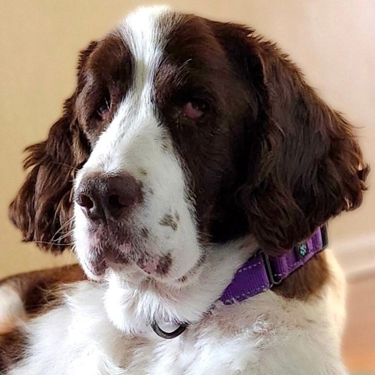 Macy