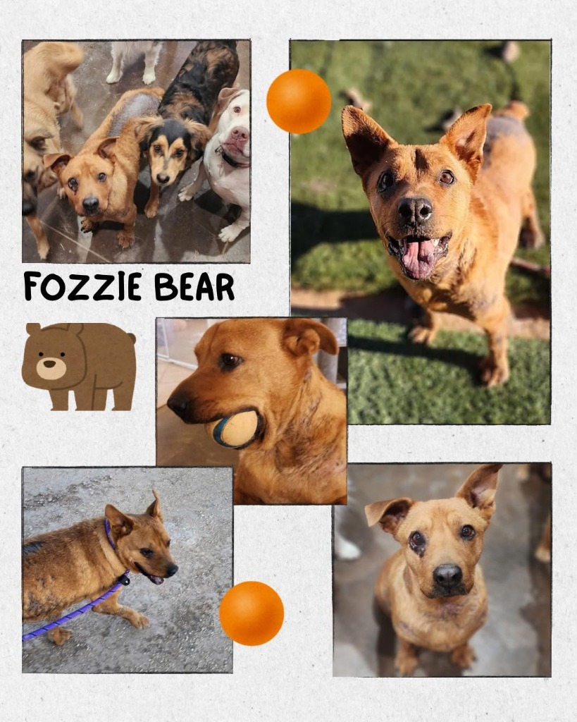 Fozzie Bear