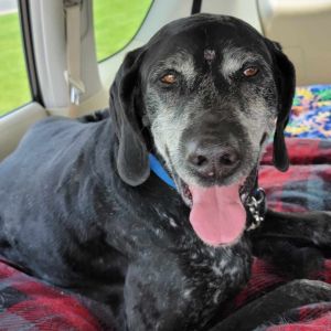 Oswald, Senior Male unknown
