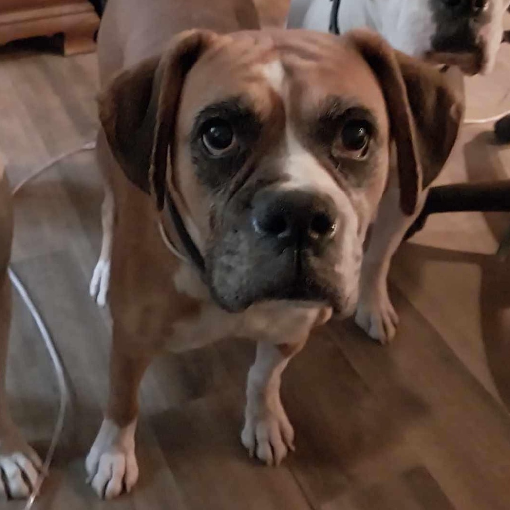 Chloe