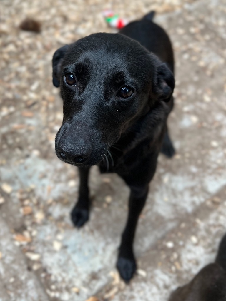Luna