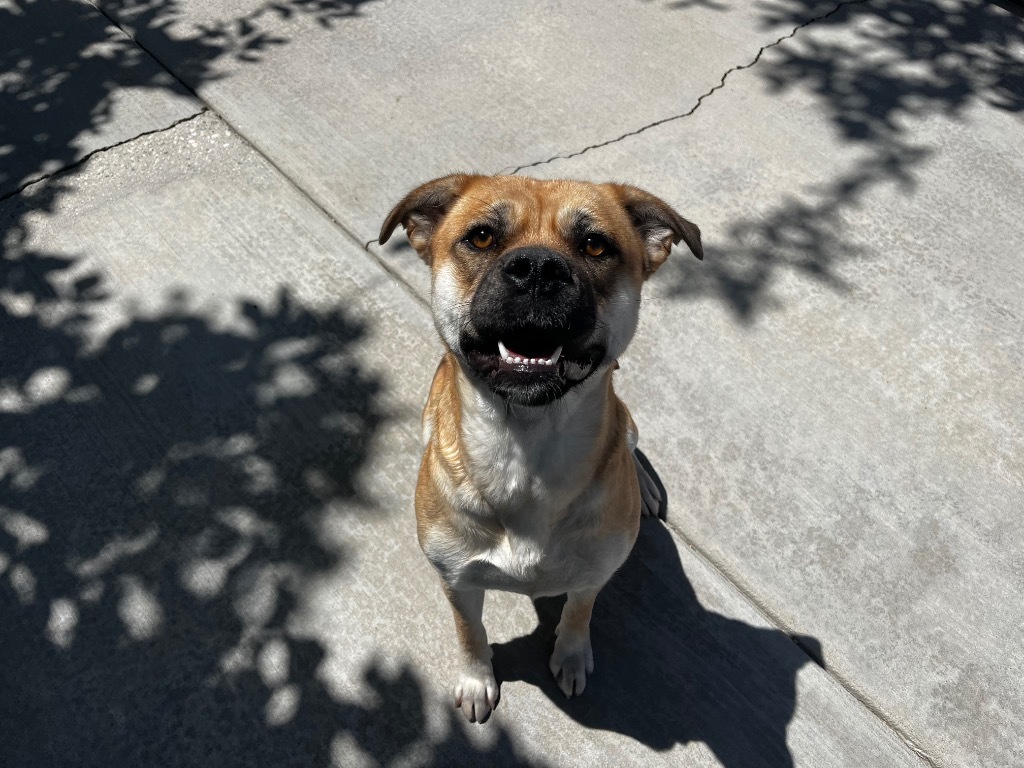 Ruby