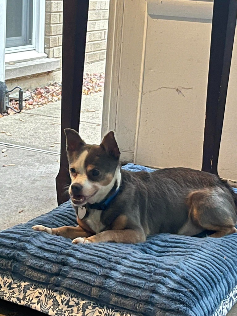Rocky