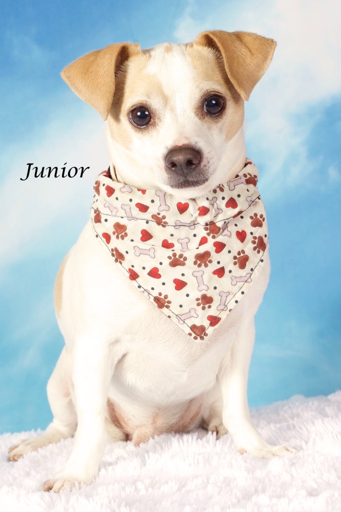 Junior