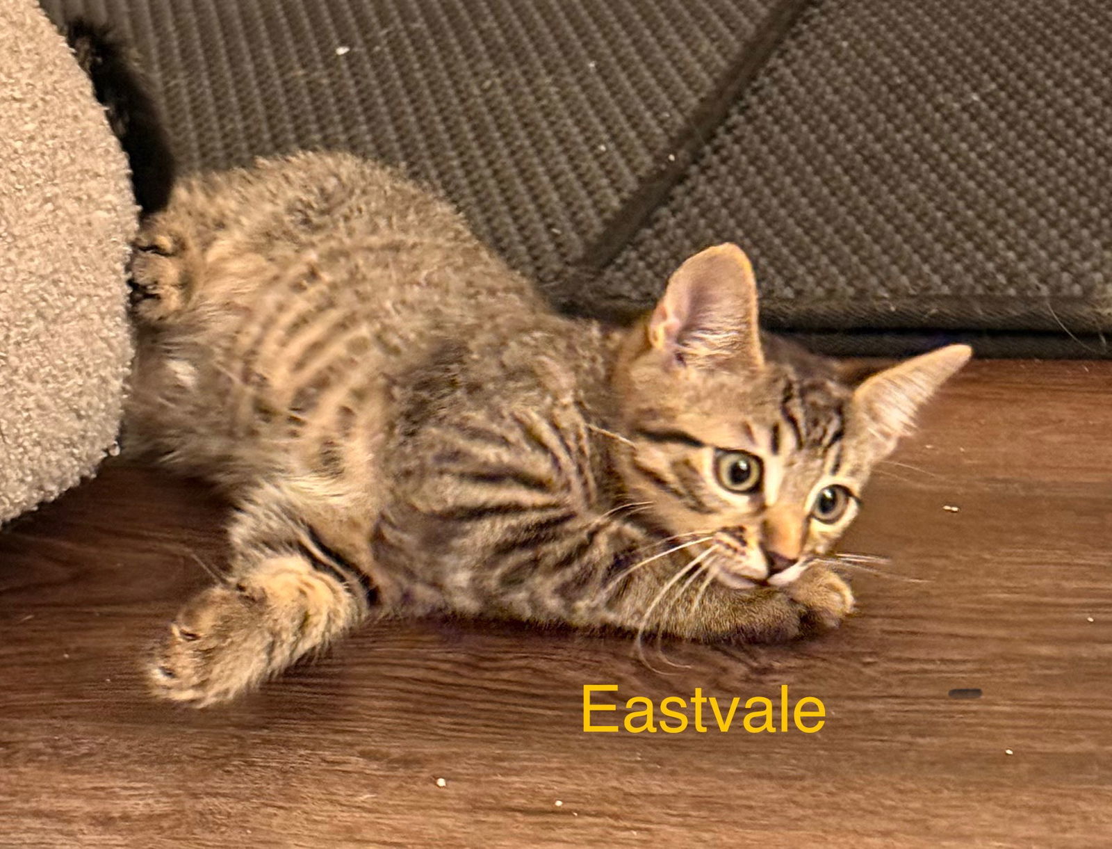Eastvale
