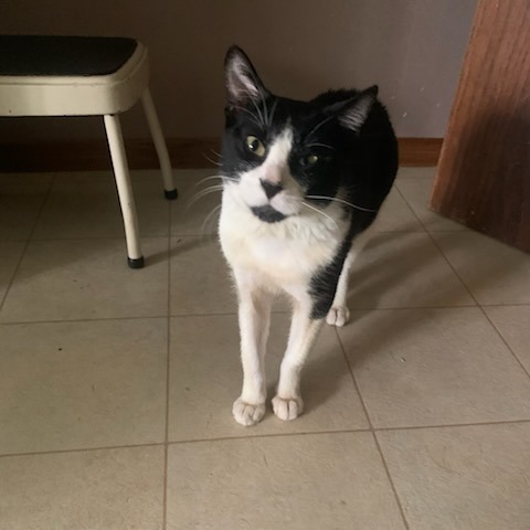 Edward--In Foster