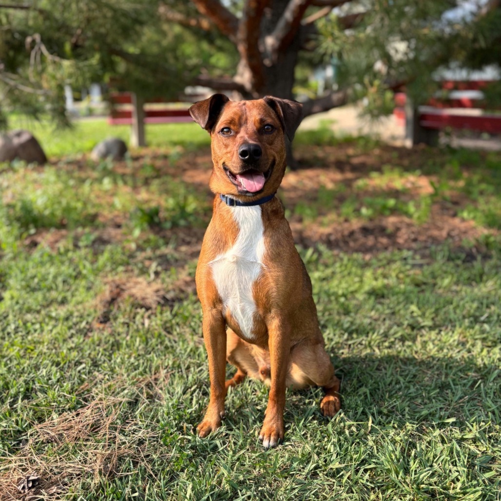 Mikey--In Foster