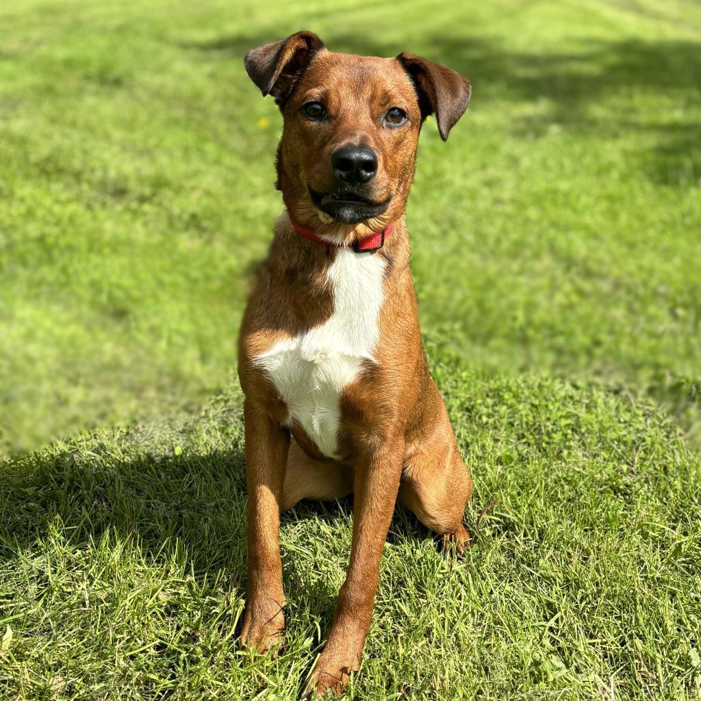 Mikey--In Foster