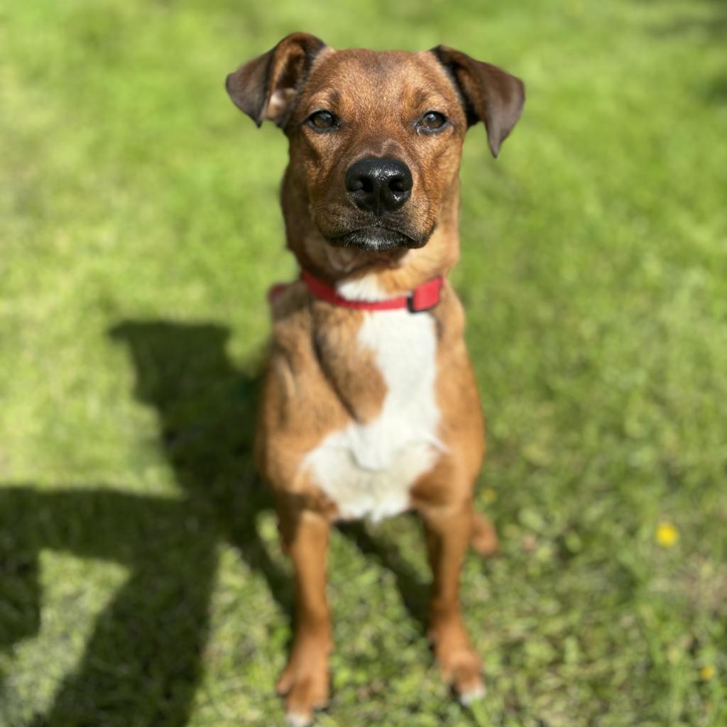 Mikey--In Foster