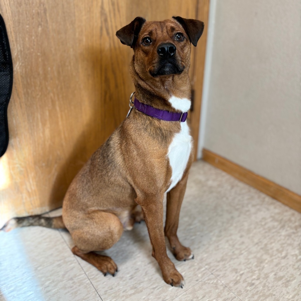 Mikey--In Foster