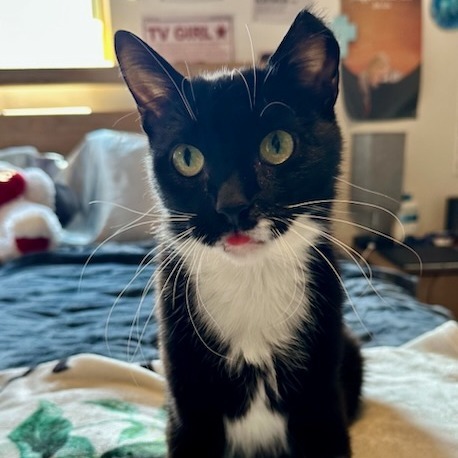 Sookie--In Foster