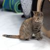 Mabel photo 4